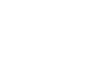Snowprint